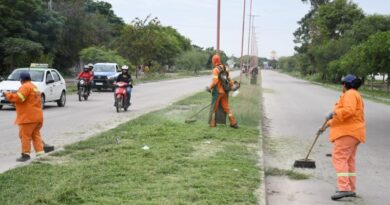 Servicios Urbanos de la Municipalidad realizó el desmalezamiento en extensos tramos de la avenida Lugones y del paseo Primero de Mayo