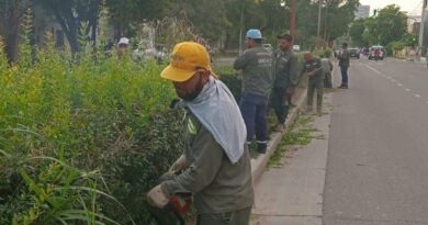 Parques y Paseos de la Capital realizó la poda y mantenimiento de la  platabanda de Avenida Belgrano