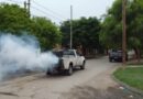 Calidad de Vida de la Capital informó su programa de fumigaciones semanales