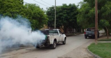 Calidad de Vida de la Capital informó su programa de fumigaciones semanales