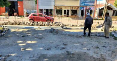 Fernández: Obras en Godoy Cruz y Dorrego, en el acceso al Barrio 102 Viviendas