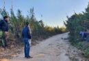 Araujo supervisó la limpieza de camino vecinal en el Paraje La Cuchilla