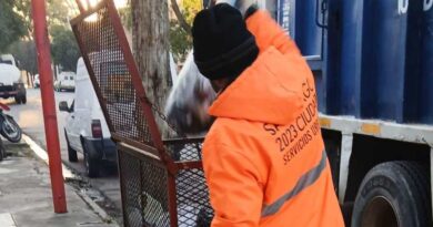 La Municipalidad cumplió con la recolección de residuos al trabajar durante los dos feriados de la semana