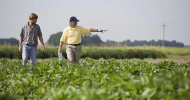 El Gobierno de Santiago del Estero exime por 6 meses el pago de Ingresos Brutos al campo