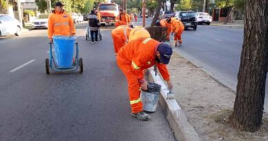 Operarios de la Municipalidad trabajaron para repintar la totalidad de platabanda de la avenida Belgrano
